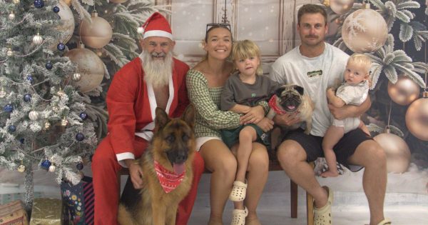 Santa sets Weipa shelter dogs up for 2026