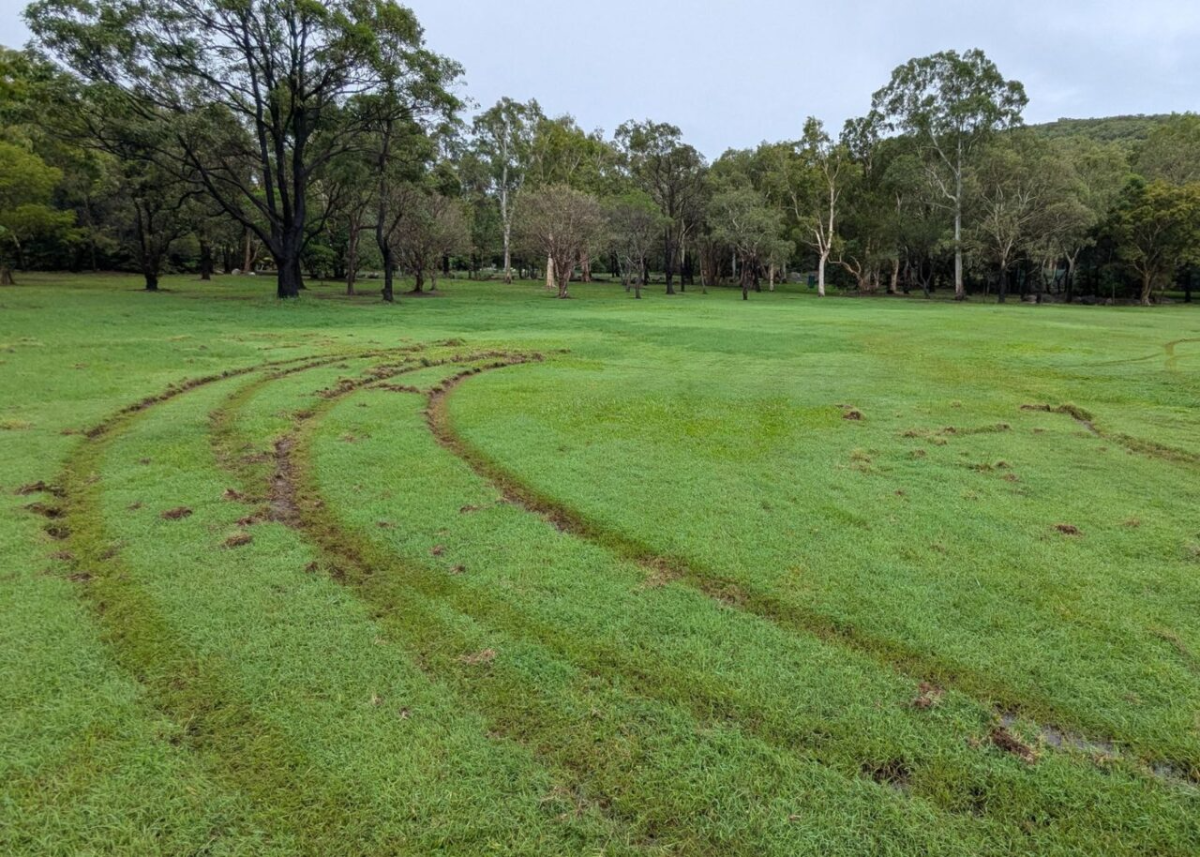 Burnouts on Queen's oval