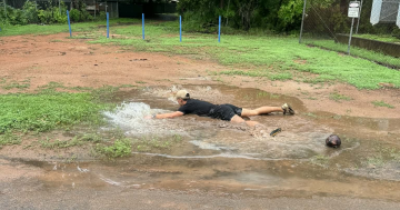 Hamilton runs into new year with 100th milestone