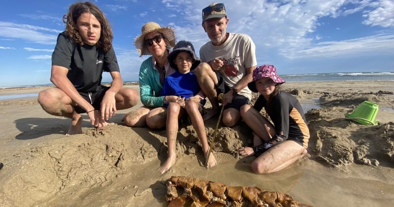 Cooktown family discovers 20-million-year-old fossil