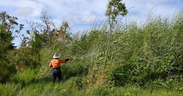 $8.9 million boost for Cape York environment protection
