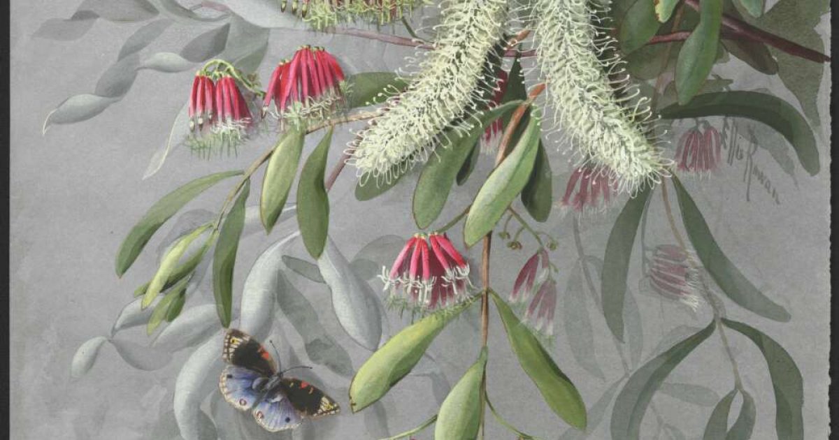 Pioneering botanical artists break through cultural barriers